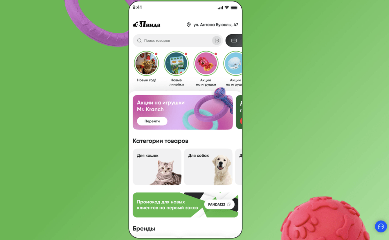 Разработка мобильного приложения Panda