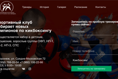 Разработка корпоративного сайта для детской школы кикбоксинга