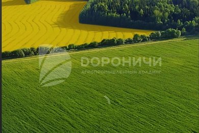 Как мы вырастили из бонусной карты мобильное приложение для e‑commerce: Кейс Дороничи.