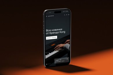 Интернет-магазин музыкальных инструментов Музрум