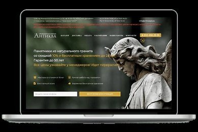Кейс по продвижению сайта Antikvaspb.ru
