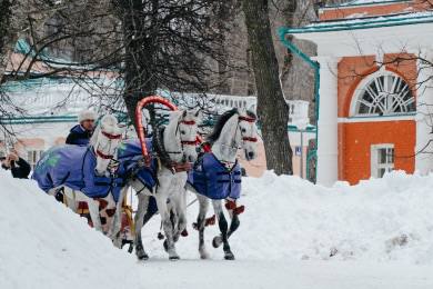 «Коньшеринг» от Ситидрайв: как мы катали москвичей на лошадях на Масленицу