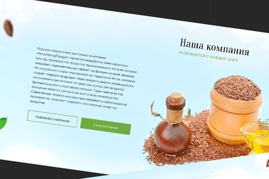 АлтайНатурПродукт веб-ресурс для всех типов покупателей и партнёров