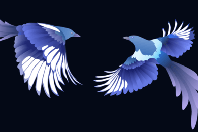 SEO на Tilda. Реальный пример вывода в ТОП-1 с инструкциями