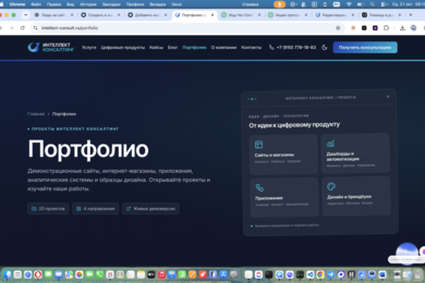 Портфолио