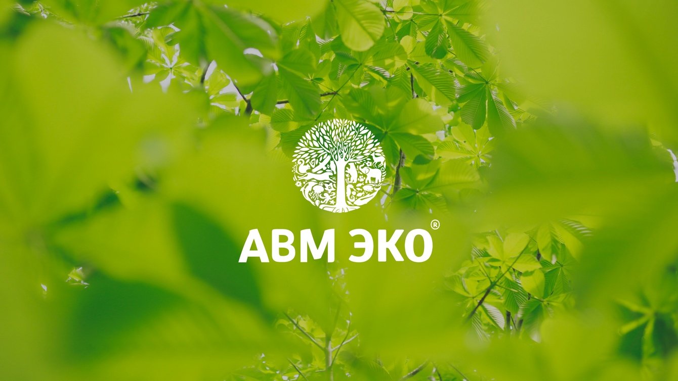 Фирменный стиль для компании АВМ ЭКО