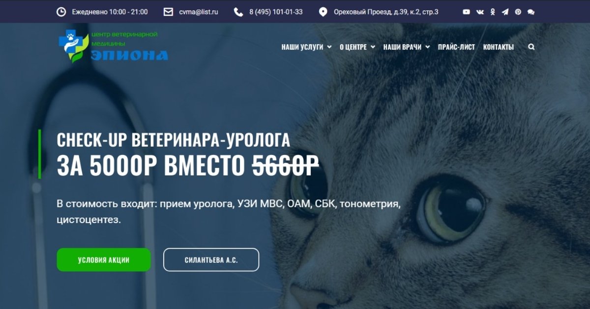 Создание сайта для ветклиники "Эпиона"