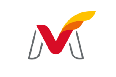 Разработка сайта «под ключ» для автомобильного холдинга «Максимум»