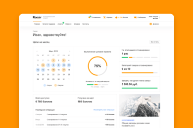 Romir SSP панель - разработка внутреннего веб-сервиса холдинга