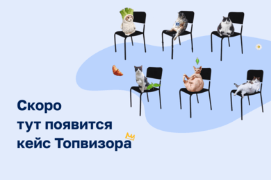 Корпоративный брендинг Топвизора
