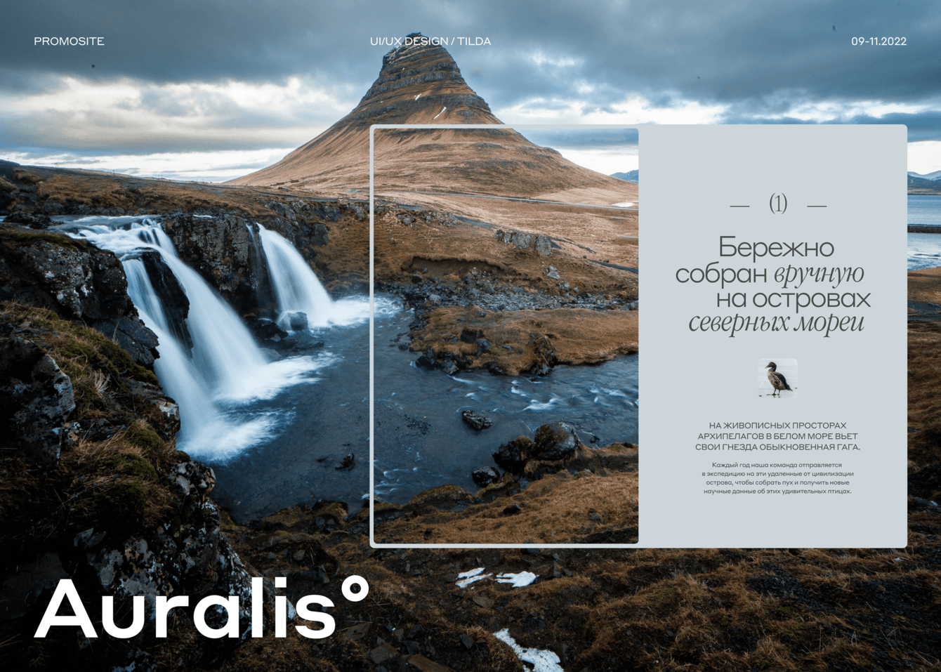 Как мы продаём подушки за полмиллиона. Промосайт для «Ауралис»