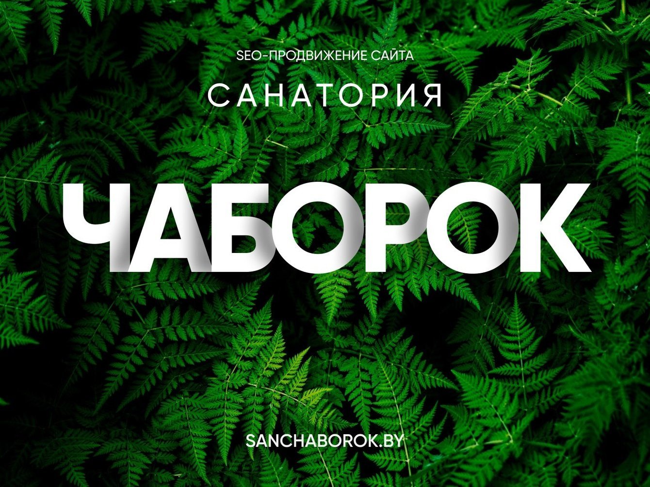 SEO-продвижение "Санаторий Чабарок"