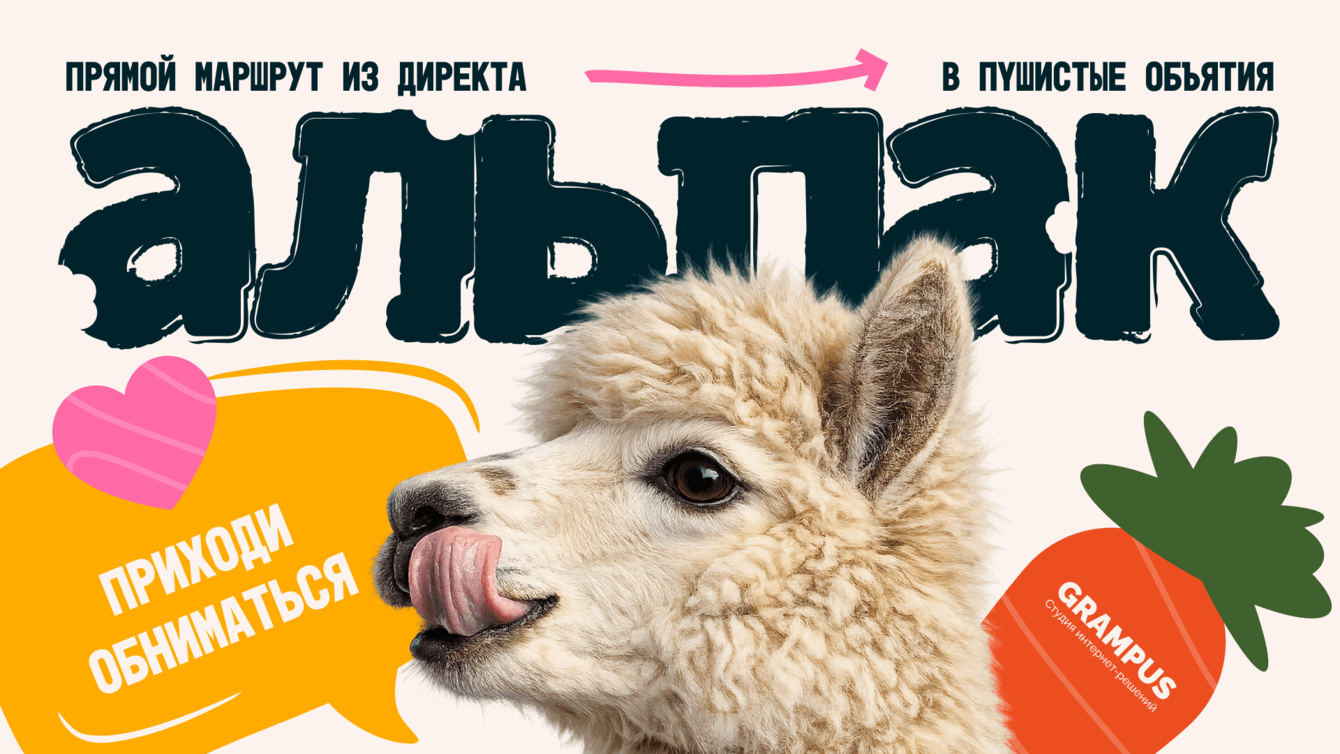 Проложили прямой маршрут из Директа в пушистые объятия альпак!