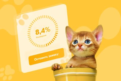 Ветеринарная клиника «Надежда». Как мы добились конверсии в заявку 8,4%