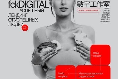 Пародийный сайт «Успешный лендинг от Успешных людей»