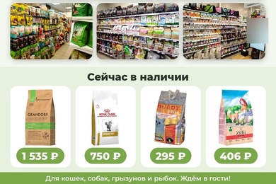 Рекламный пост ВК для нового зоомагазина за 20 минут: плакат, карусель из 3 слайдов и текст