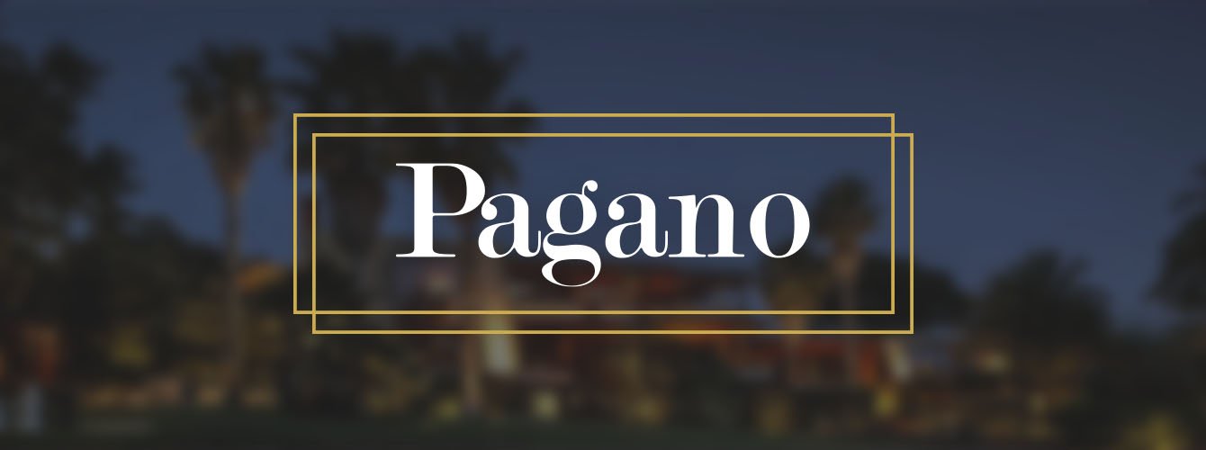 Разработка и продвижение сайта Pagano