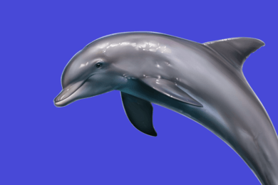 Парадельфийские игры