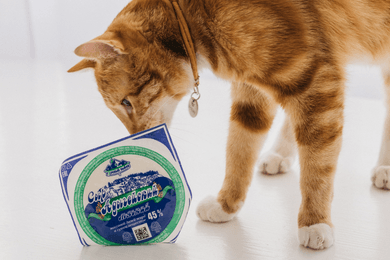 История о том, как мы бренд белорусских сыров продвигали