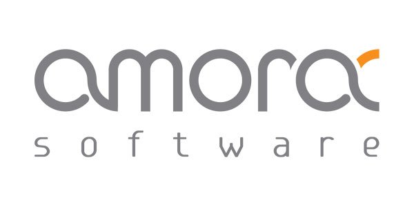 Сайт ИТ-компании Amora Software – кейс SEO-Website