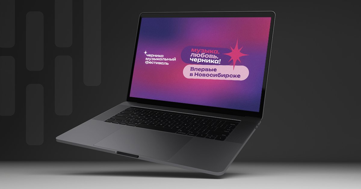 Кейс «Продвижение крупнейшего фестиваля Сибири - Черника Music Fest»