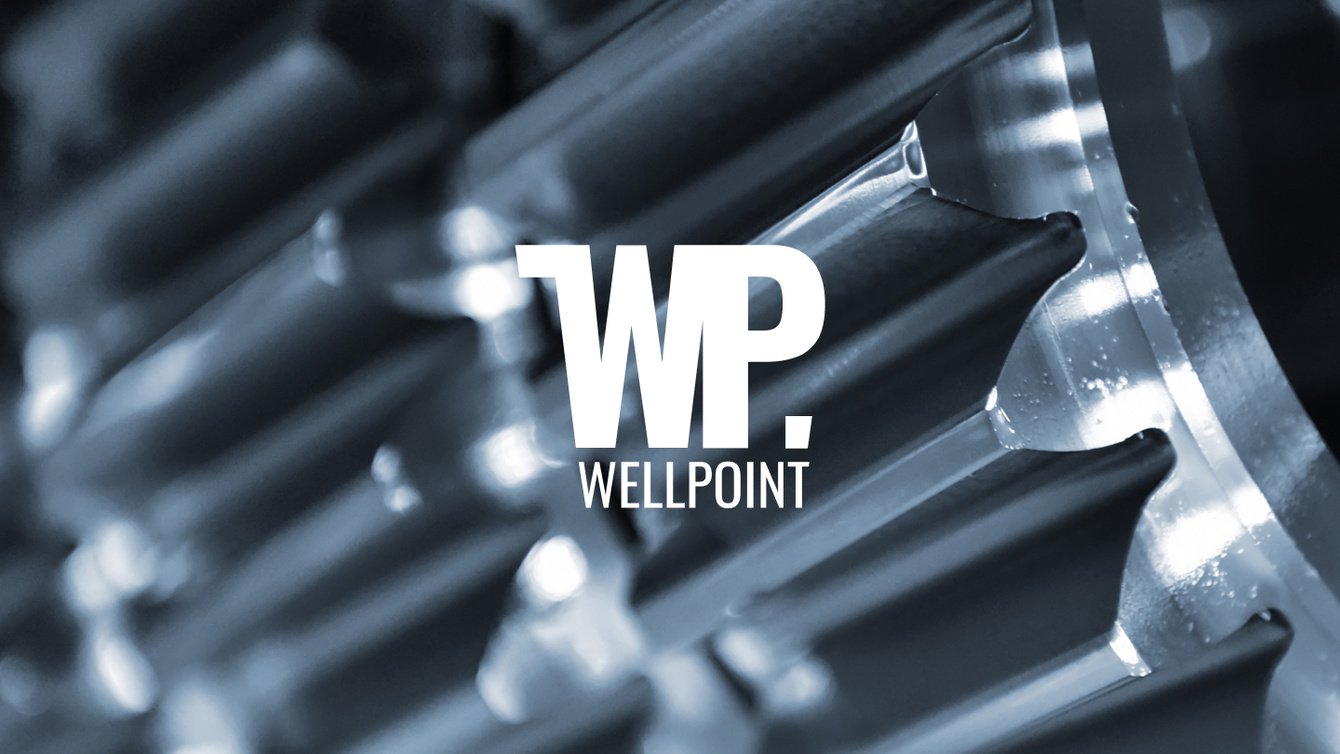 Wellpoint — логотип и брендинг упаковки автозапчастей