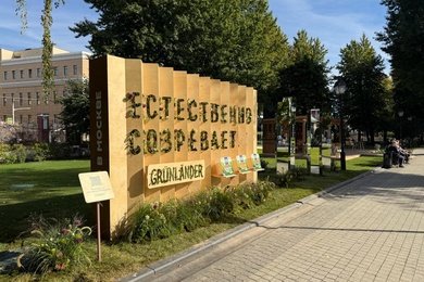 Grünländer рассказал о натуральном созревании сыра и усилил позиции в самой массовой категории сыров