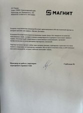 Закрываем потребность «Магнит Доставки» в курьерах с помощью интернет-рекламы