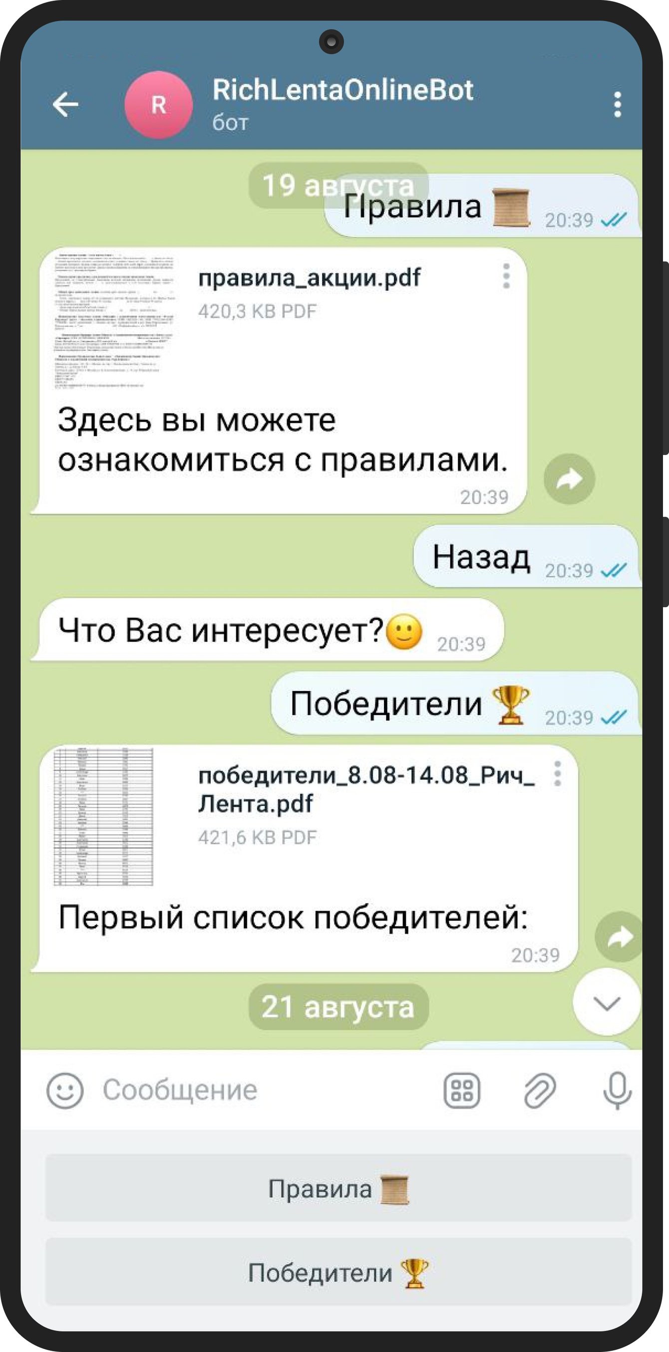 Чат-бот для промо-акций: быстрый доступ к результатам и правилам