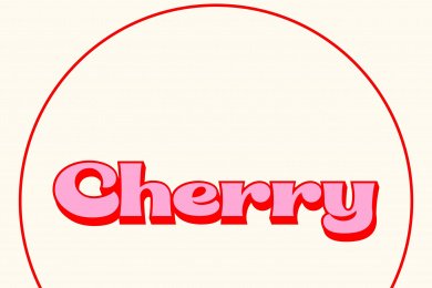 Кейс Cherry Brand: как бренду одежды получить выручку в 12,8 млн только с таргета ВК