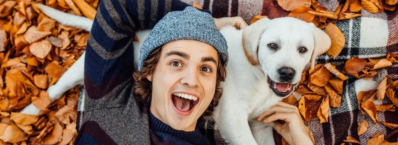 Разработка сайта Айда Гулять - для социальной сети любителей собак