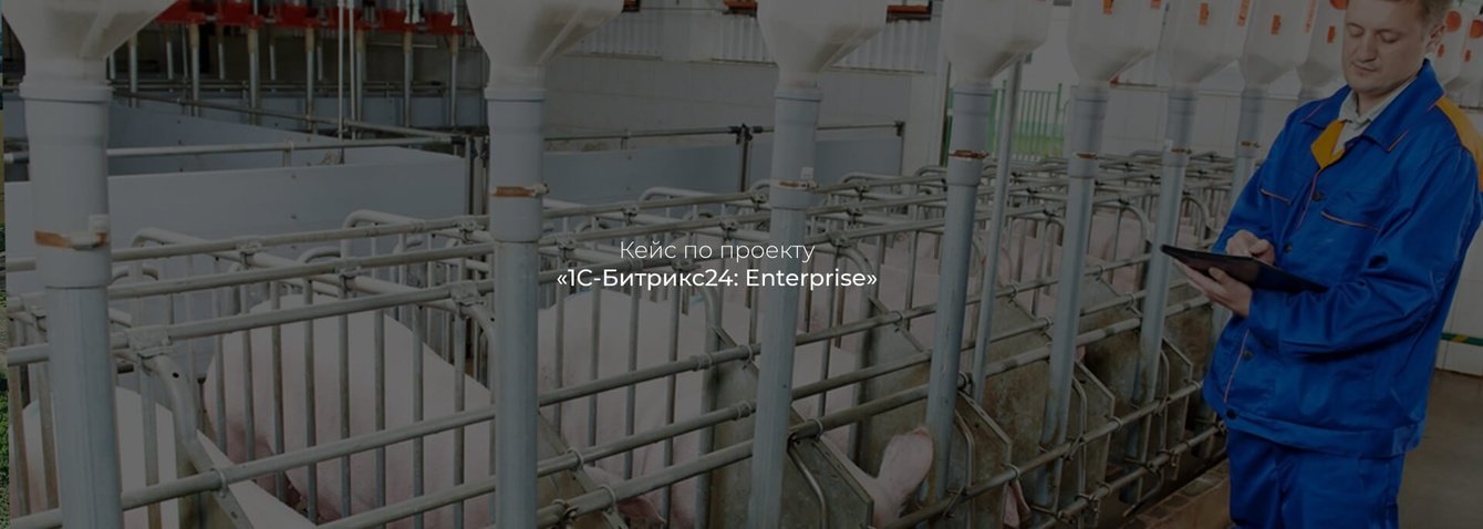 Создание корпоративного портала на базе «1С-Битрикс24: Enterprise»