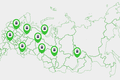 Поддержка сайта зоомагазина
