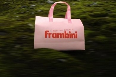 Серия Reels для производителя термосумок Wangpack: продукт в главной роли