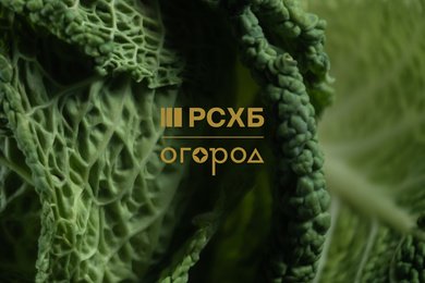 Новогодние подарки для партнёров Россельхозбанка