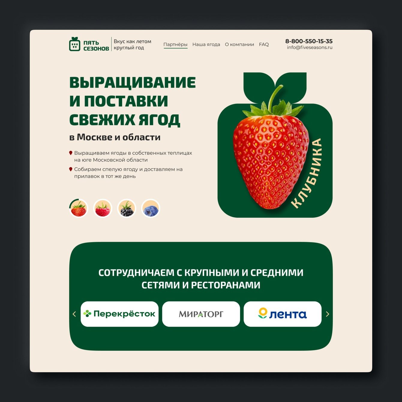 Создание лэндинга для агрокомпании по выращиванию ягод