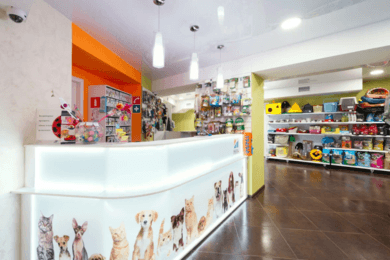 +72% обращений через чаты, +92% звонков с Я.Директ и +66% регионального трафика для сети ветклиник