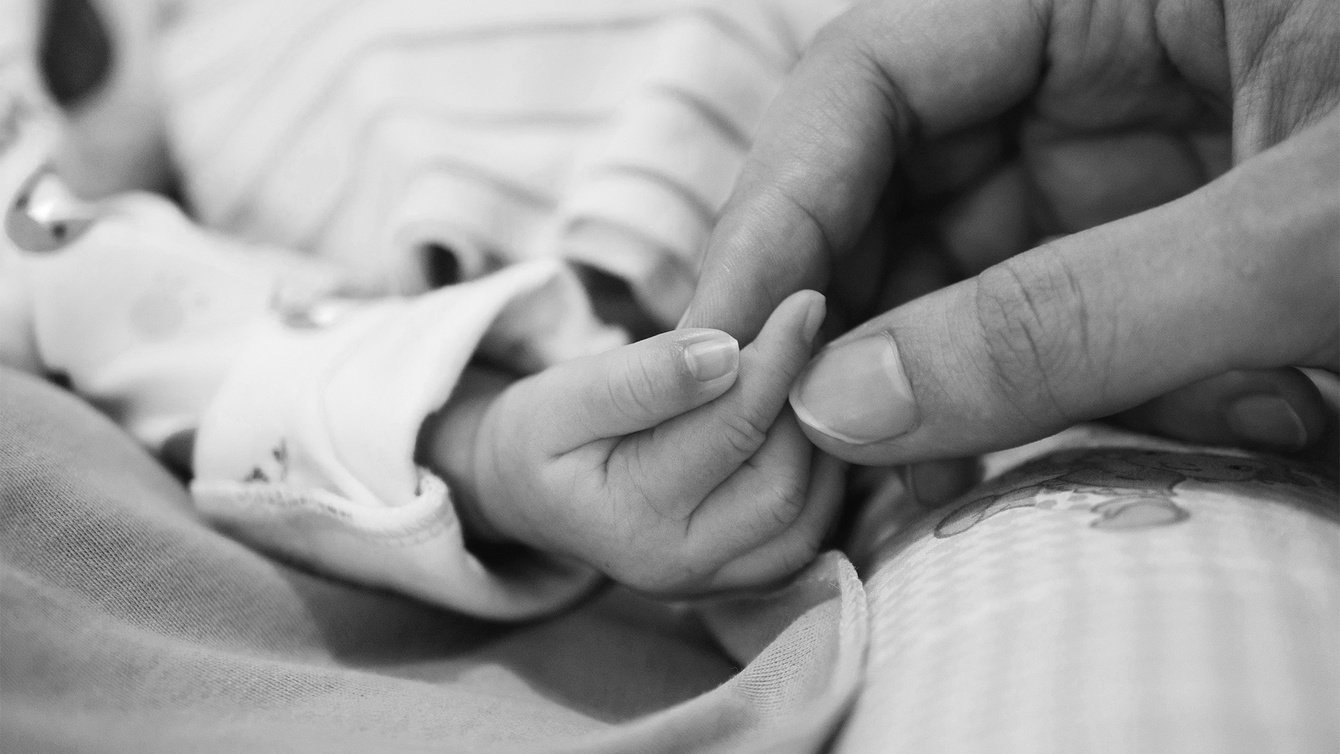 Линия жизни / ребрендинг