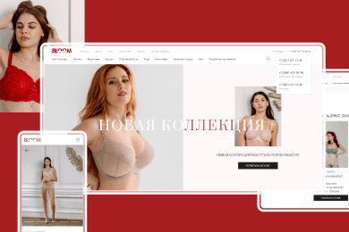 BloomBra - интернет-магазин нижнего белья. Приключение большой груди в e-com и 140+ размеров белья