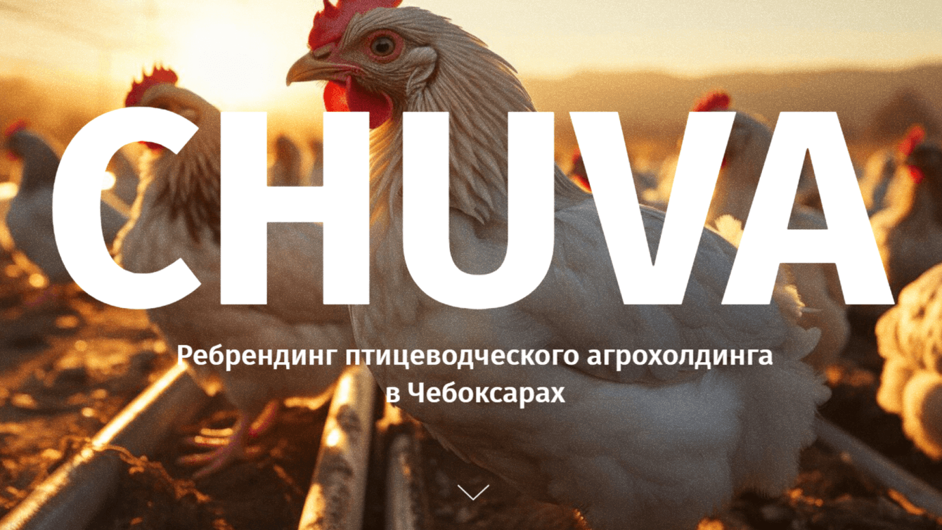 CHUVA: ребрендинг птицеводческого агрохолдинга в Чебоксарах