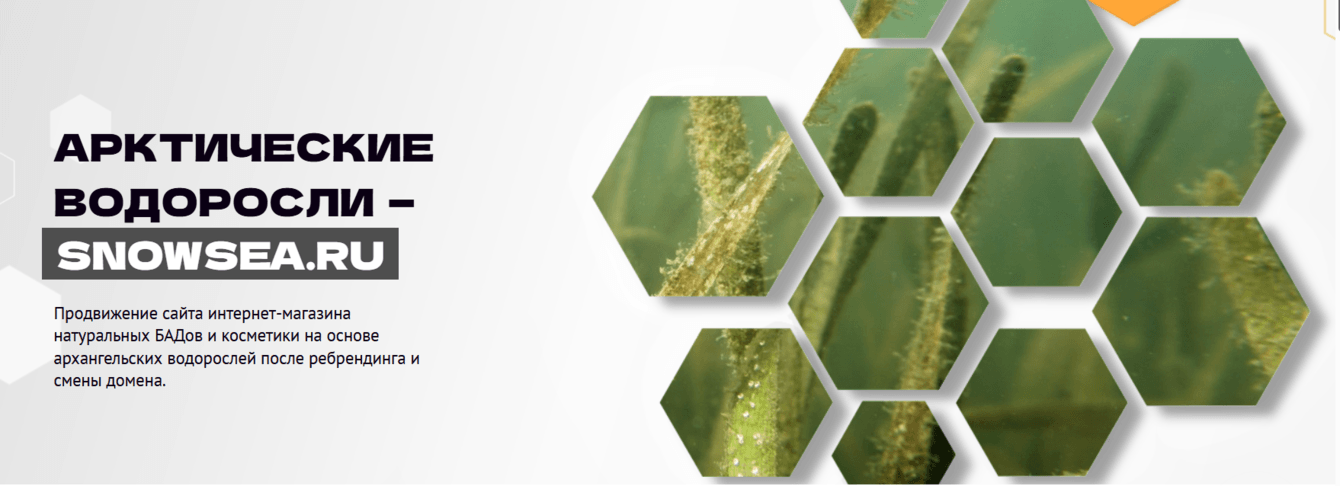 Рост трафика и сохранение позиций после ребрендинга и смены домена — кейс Redbee и SnowSea