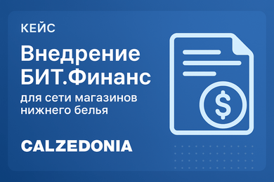 Внедрение БИТ.Финанс для компании Calzedonia