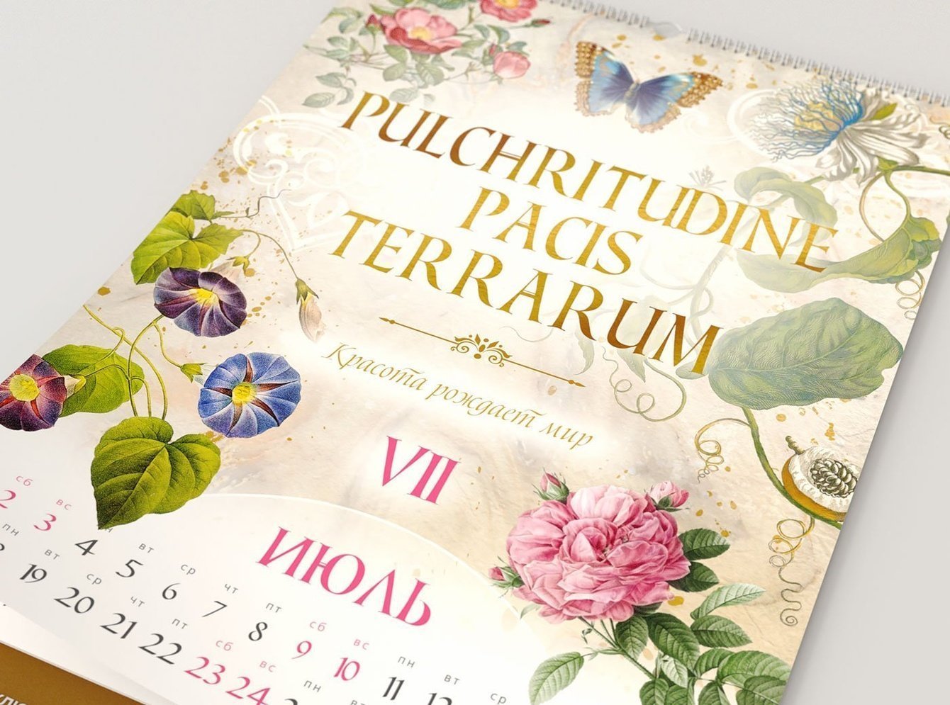 Перекидной настенный календарь «Латинские выражения» на 2022 год