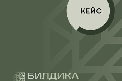 Кейс: Логотип и брендбук для компании «Билдика»