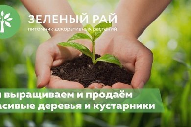 В 10 раз больше трафика для питомника растений с помощью SEO