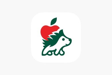 Разработка мобильного приложения 