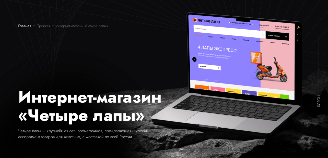 Масштабная экосистема для крупнейшей сети зоомагазинов