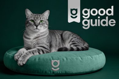 Комплексная разработка с нуля корма для домашних животных Good Guide в высоком ценовом сегменте