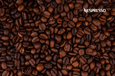 Мультиязычный интернет-магазин капсульного кофе для дистрибьютора Nespresso Professional