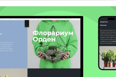 Разработка динамического Интернет-магазина на CMS OpenCart.